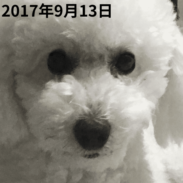 2017年9月13日心の目