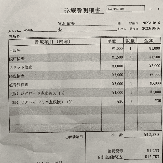 進行性網膜萎縮20231016