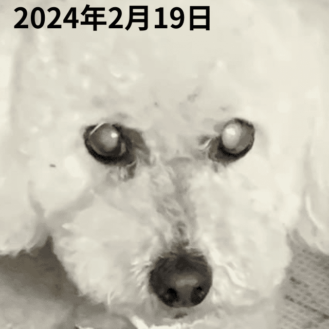 2024年2月19日心の目