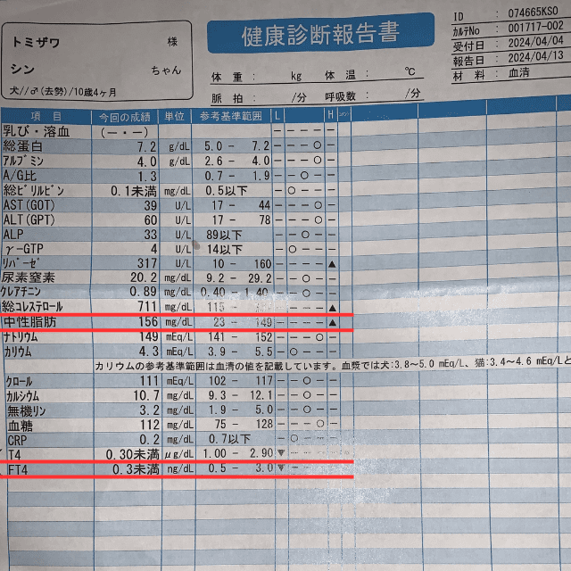 血液検査20240425