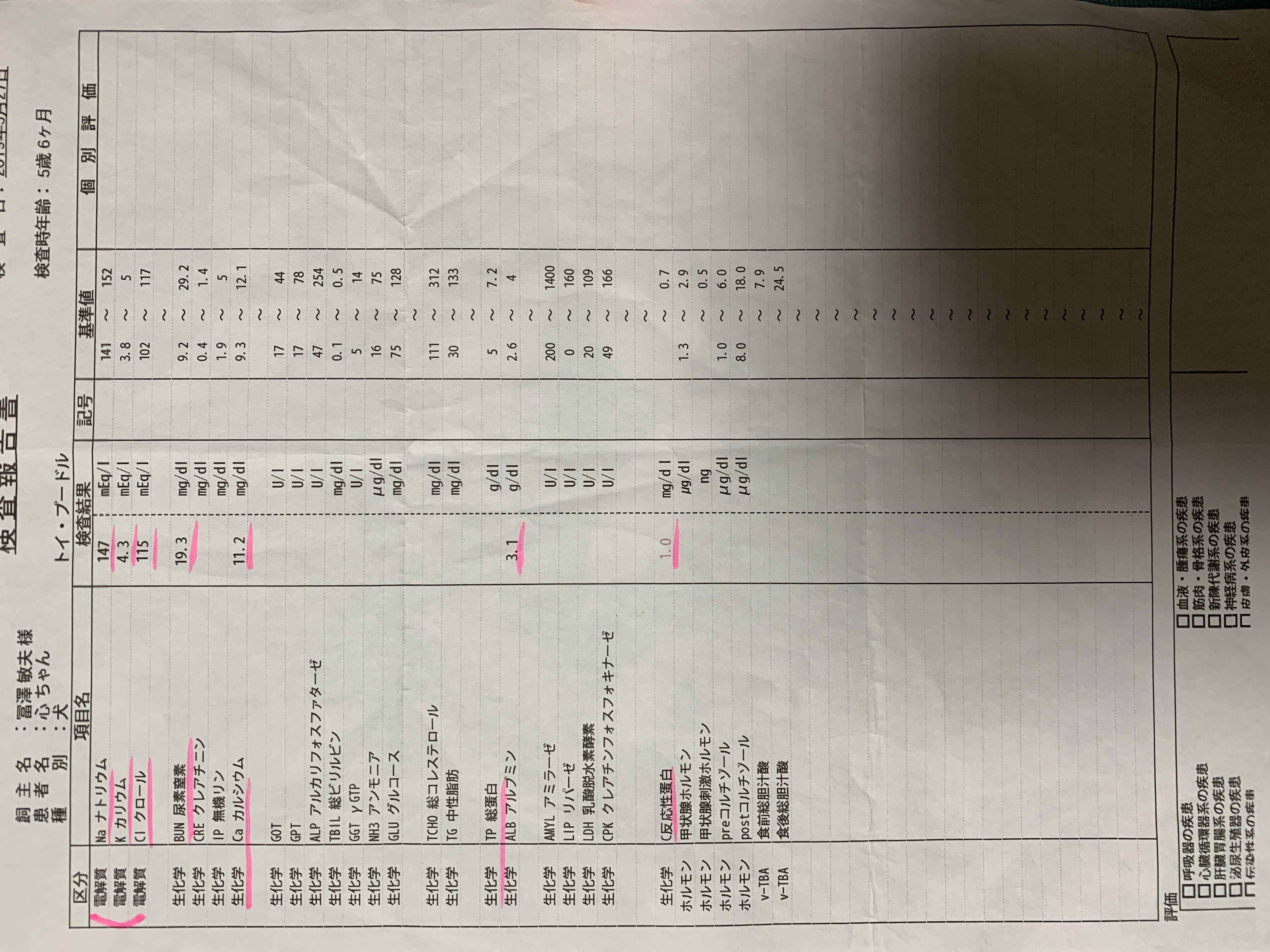 血液検査20190527