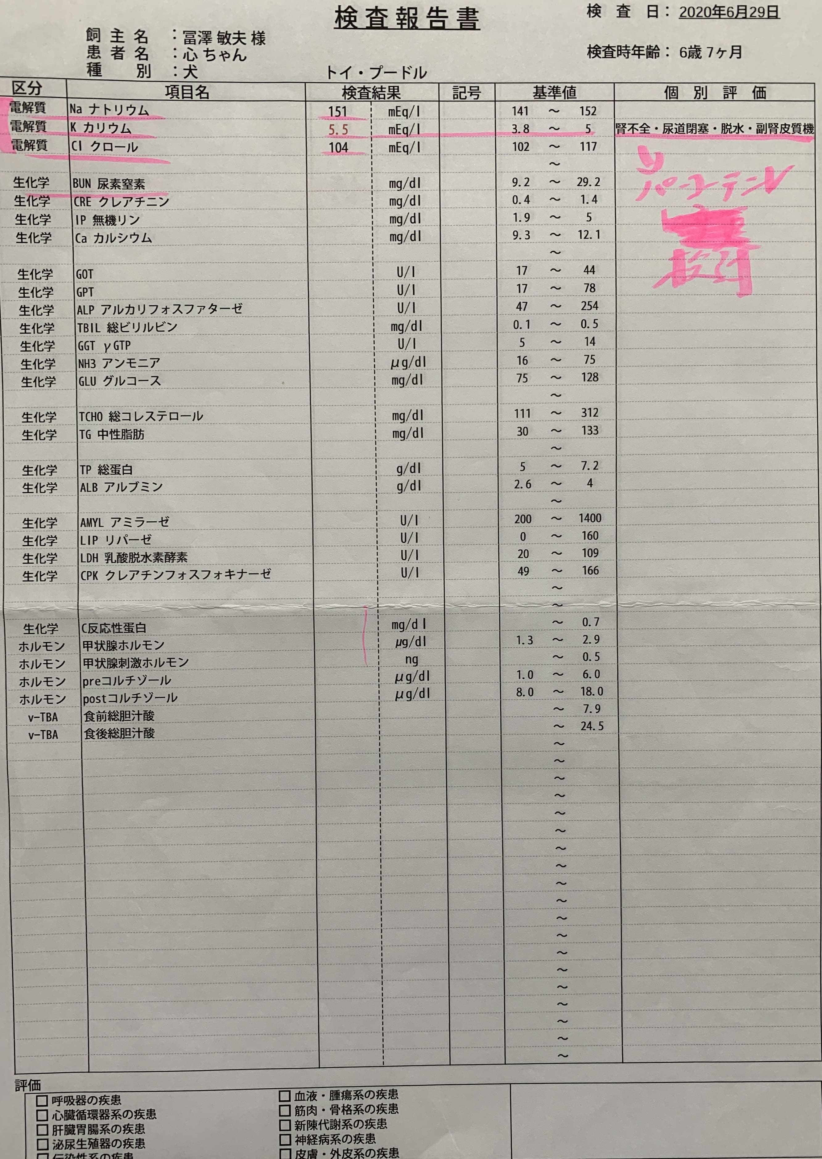 血液検査20200629