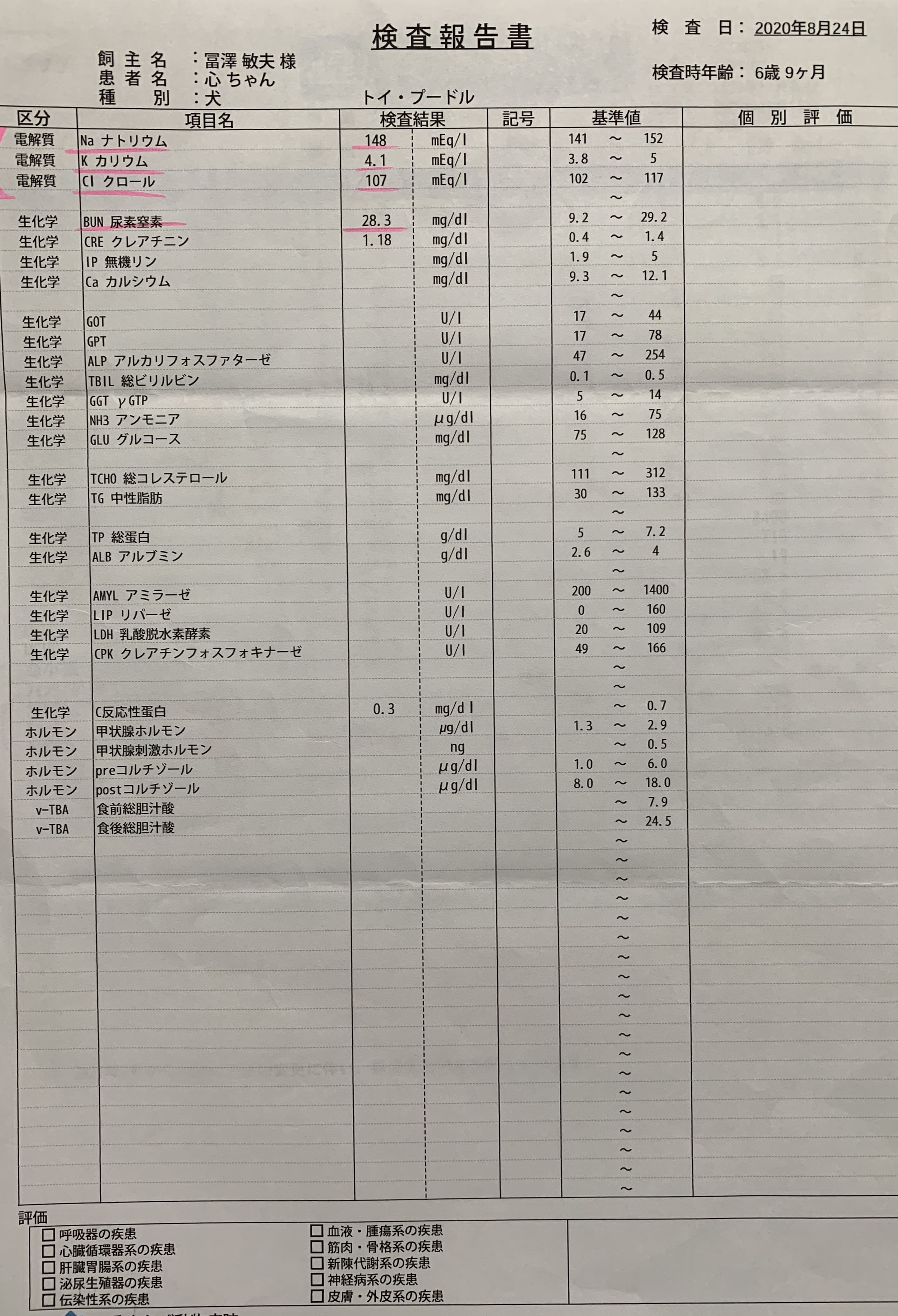 血液検査20200824