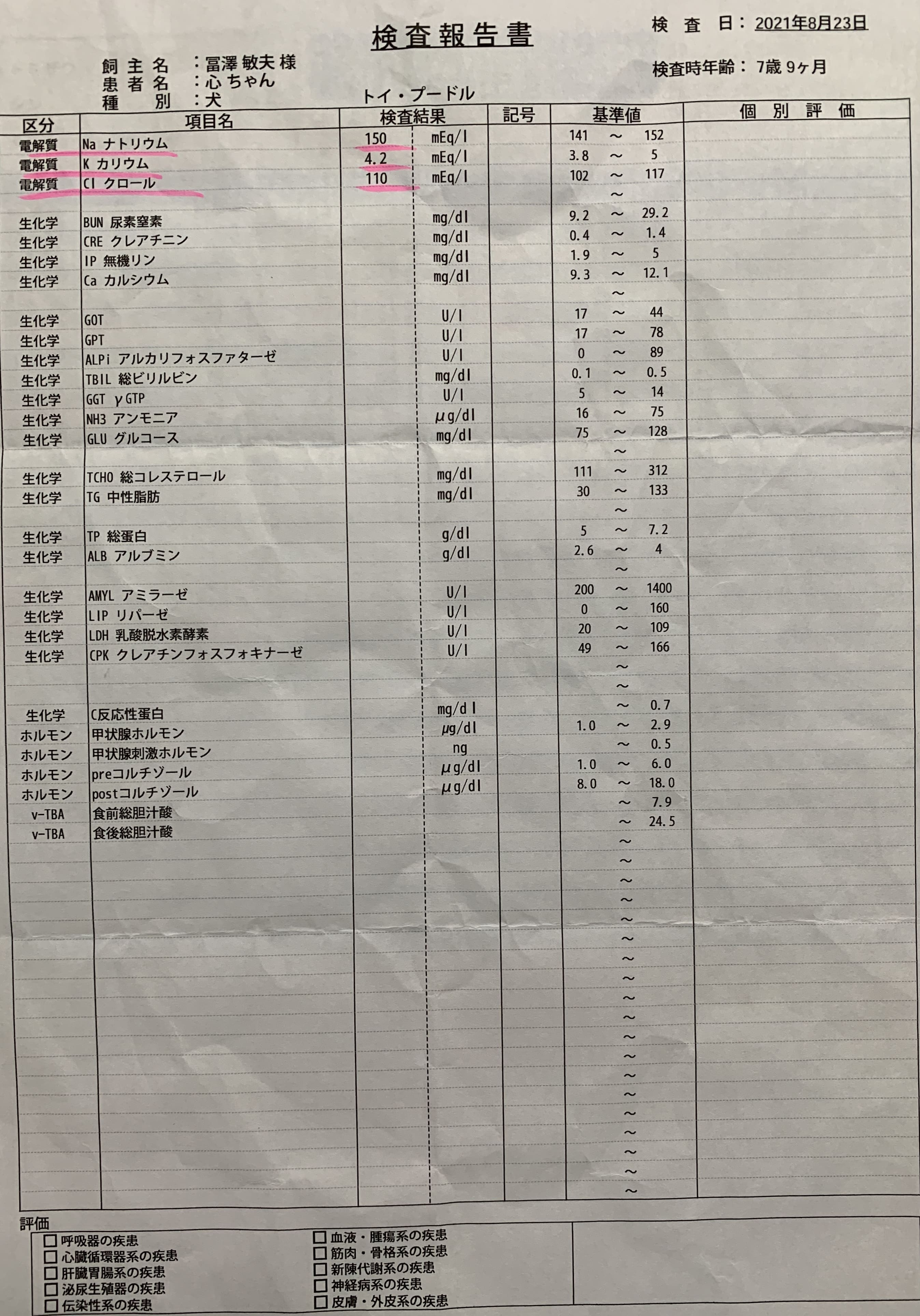 血液検査20210823