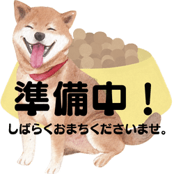 犬の緑内障